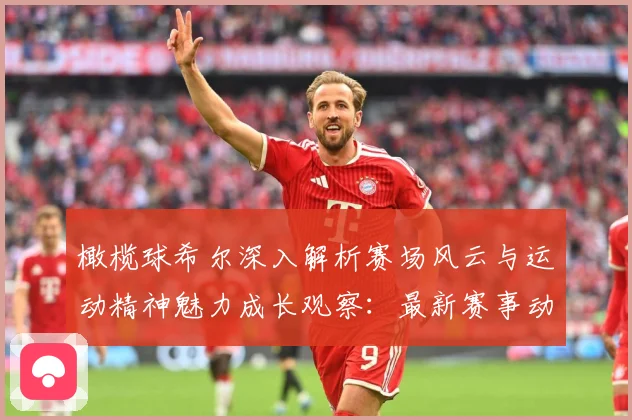橄榄球希尔深入解析赛场风云与运动精神魅力成长观察：最新赛事动态与深度分析